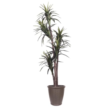 Dare2Decor 6 ft. Artificial Marginata Executive Tree in Round Brown Container, Green DA3254618